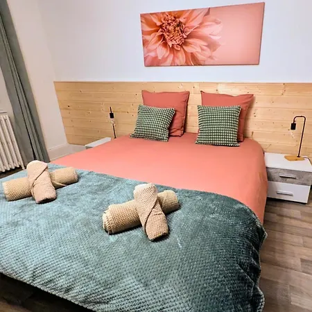 58m² Flat Garage Btw Colmar & Mulhouse エンシスハイム