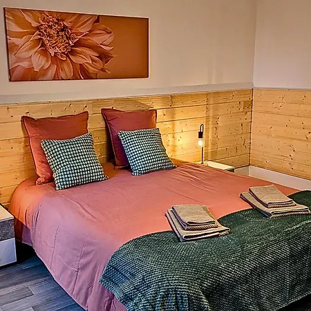 58m² Flat Garage Btw Colmar & Mulhouse エンシスハイム